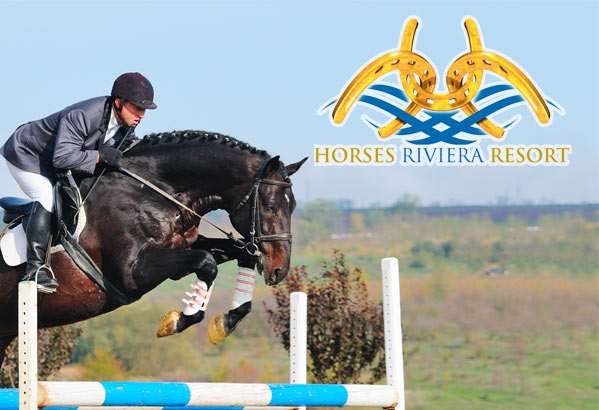 Hotel Lido Cattolica Riviera Horses